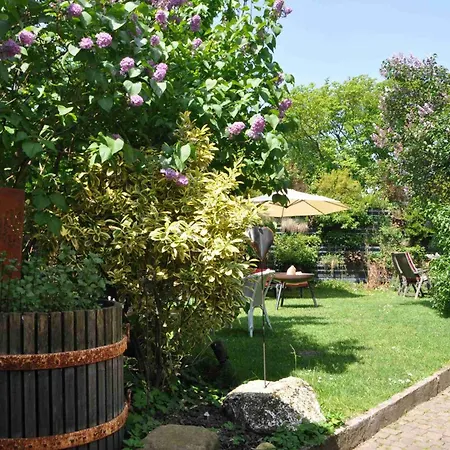 Schwarzwald-traum شقة