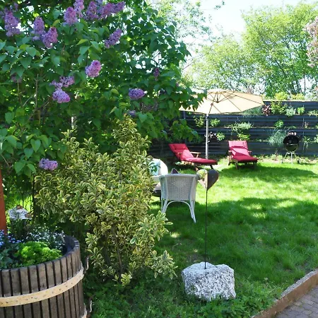 Schwarzwald-traum هاسلاخ إيم كينزيجتال