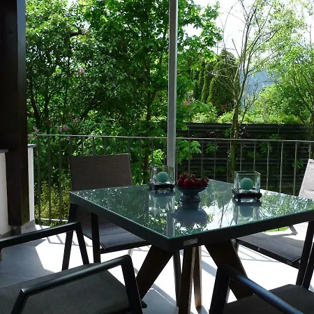 شقة Schwarzwald-traum هاسلاخ إيم كينزيجتال