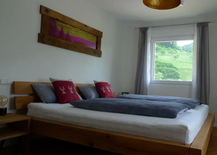 公寓 Schwarzwald-traum 哈斯拉赫